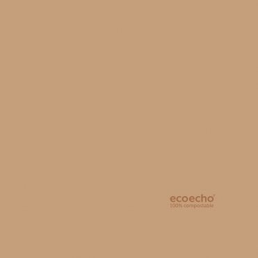 Ecoecho Dunisoft Napkin 40x40cm (Box Of 720)
