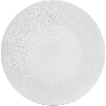 Agrume Flat Plate 25cm/9.8" (Box of 6)