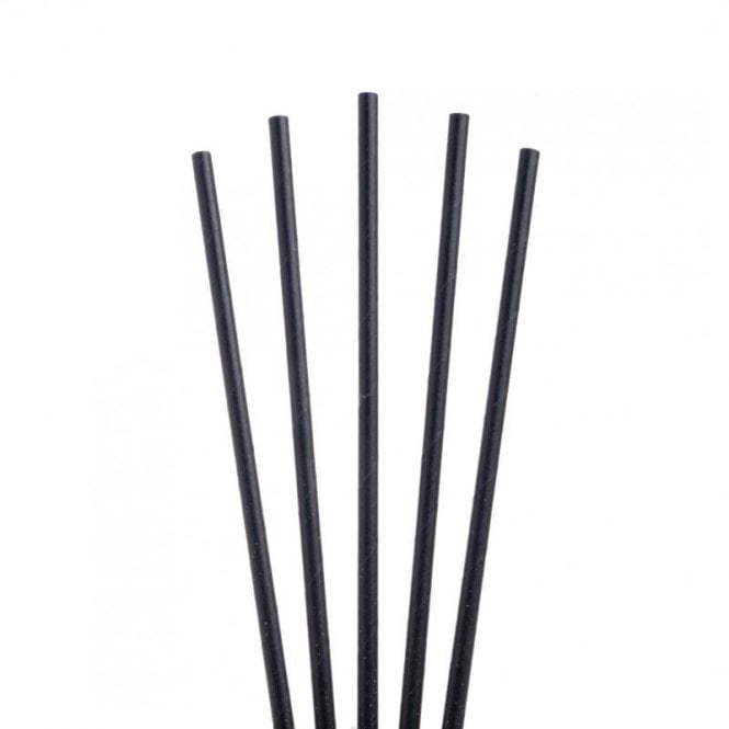 Parsley in Time Paper Straw Black 8