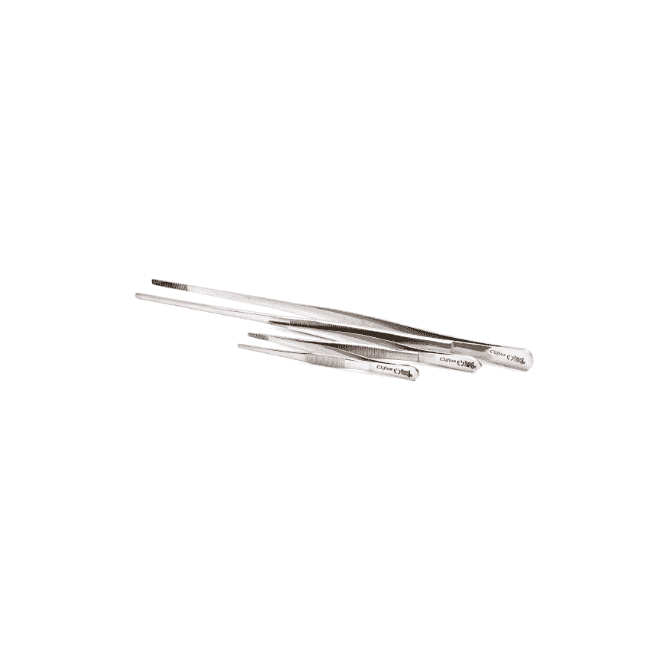 Parsley in Time Stainless Steel Round Tip Tweezers Tongs 300mm