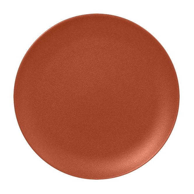 RAK Neofusion Flat Coupe Plate - Terra 24cm/9.4 (Box Of 12)