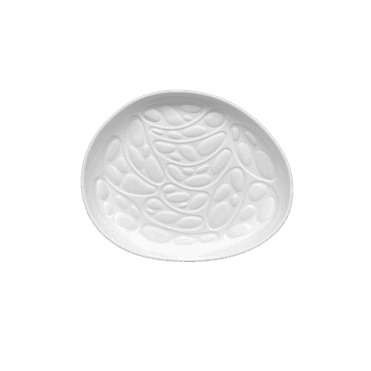 Rex S Glazed Plate (Box of 6)