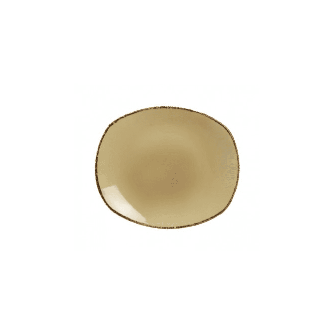 Steelite Utopia Terramesa Spice Plate 25.5cm/10